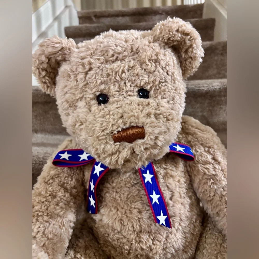 Vintage Gund 2002 Wish Bear 100th Anniversary Large Plush Stuffed Teddy Bear Y2K